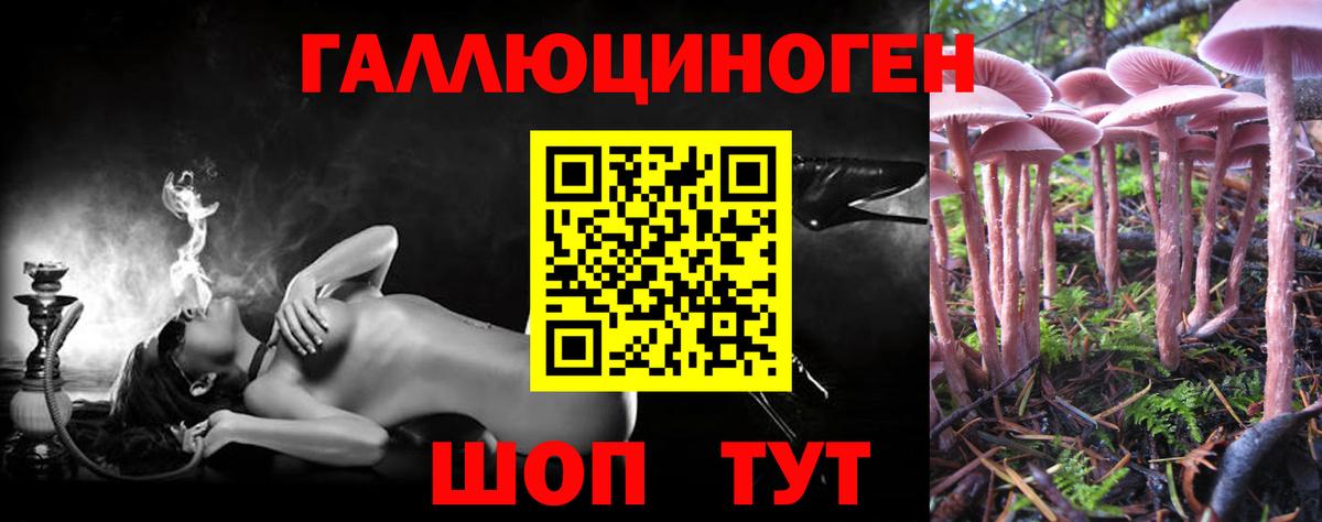 Белебей  Псилоцибиновые грибы Psilocybe  Галлюциногенные грибы Psilocybine cubensis  Вход с VPN 