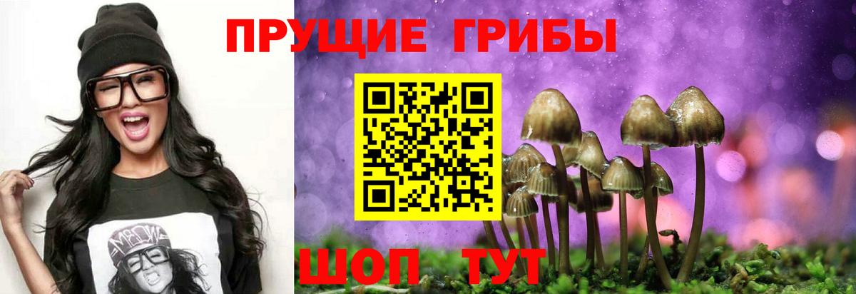 Псилоцибиновые грибы мицелий Белебей